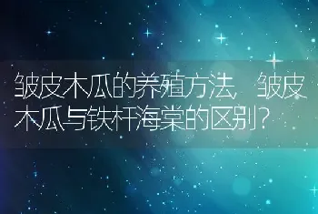 皱皮木瓜的养殖方法