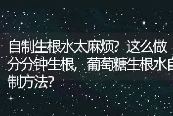 自制生根水太麻烦？