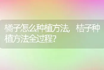 橘子怎么种植方法