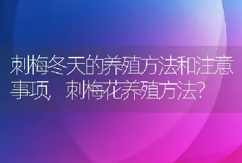 刺梅冬天的养殖方法和注意事项