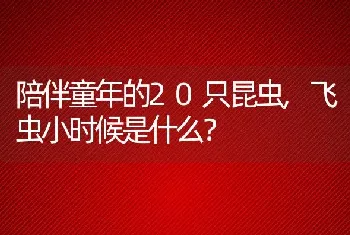 陪伴童年的20只昆虫