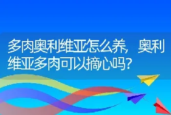 奥利维亚多肉可以摘心吗