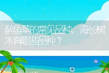 海长树木有哪些品种