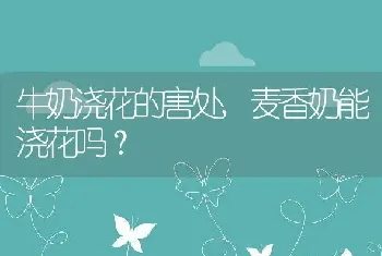 牛奶浇花的害处