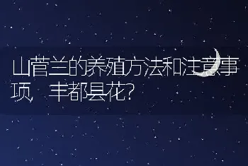 山菅兰的养殖方法和注意事项