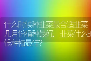 主播割韭菜什么意思