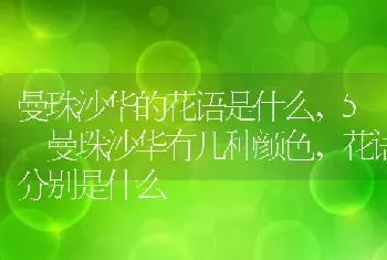 枕戈担待什么意思