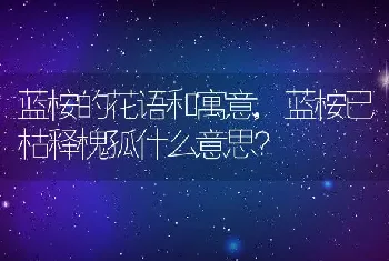 蓝桉已枯释槐孤什么意思