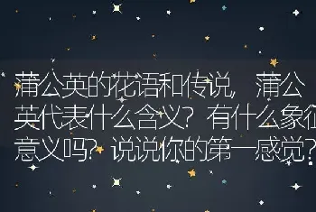 蒲公英代表什么含义?有什么象征意义吗？