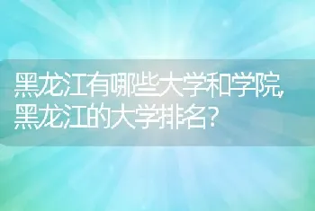 黑龙江的大学排名