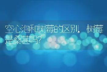 树莓是桑葚吗