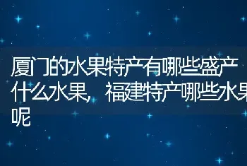 厦门的水果特产有哪些盛产什么水果