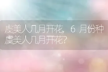 6月份种虞美人几月开花