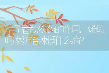 烯酰吗啉防治辣椒什么病