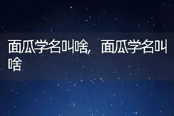 人参花什么时候吃刚刚好