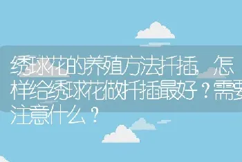 怎样给绣球花做扦插最好需要注意什么？