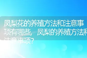 凤梨的养殖方法和注意事项