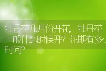 牡丹花一般什么时候开花期有多少时间？