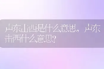 声东击西什么意思