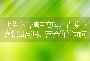 胡萝卜含糖量高吗