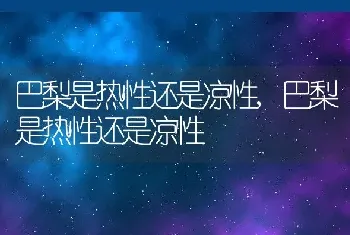 巴梨是热性还是凉性