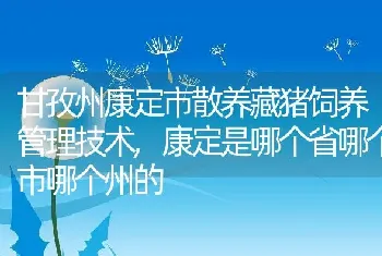 甘孜州康定市散养藏猪饲养管理技术