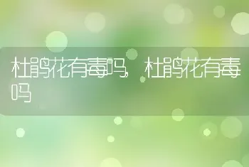 杜鹃花有毒吗