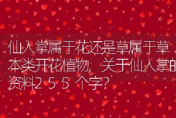 关于仙人掌的资料255个字