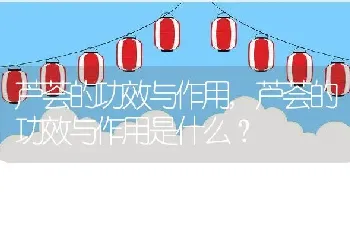 芦荟的功效与作用是什么