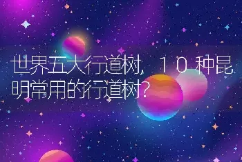 10种昆明常用的行道树