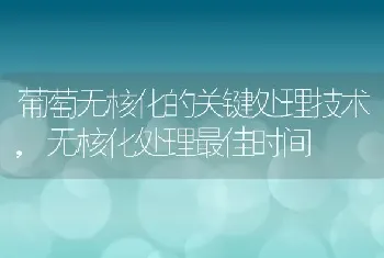 葡萄无核化的关键处理技术