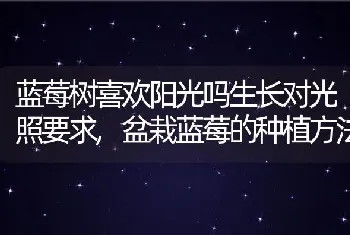 种子是从哪来的