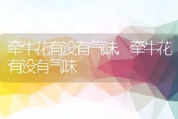 唐玄宗为什么叫唐明皇