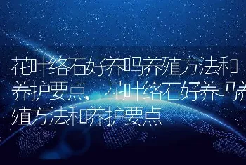 花叶络石好养吗养殖方法和养护要点