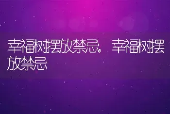 幸福树摆放禁忌