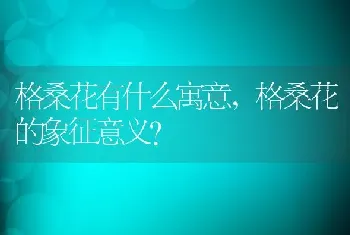 格桑花的象征意义