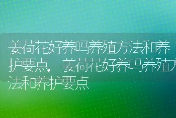 姜荷花好养吗养殖方法和养护要点