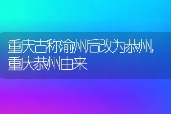 重庆古称渝州后改为恭州