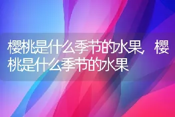 樱桃是什么季节的水果