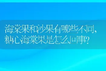 糖心海棠果是怎么回事