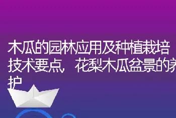 木瓜的园林应用及种植栽培技术要点