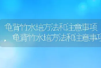 龟背竹水培方法和注意事项