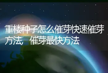 重楼种子怎么催芽快速催芽方法