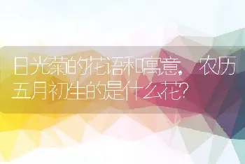 农历五月初生的是什么花