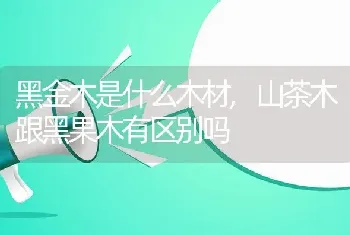 黑金木是什么木材