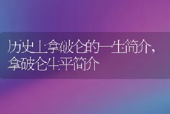 历史上拿破仑的一生简介