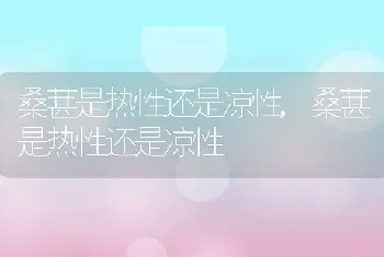 桑葚是热性还是凉性