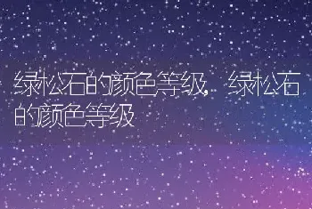 绿松石的颜色等级