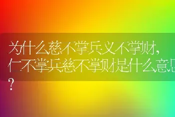 仁不掌兵慈不掌财是什么意思