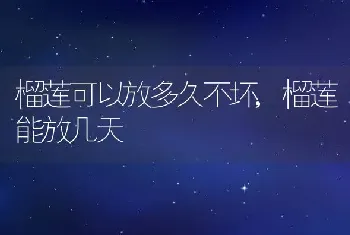 榴莲可以放多久不坏